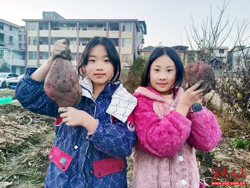 隆回金石桥镇中银小学：特色教育点亮山区孩子梦想(图4)