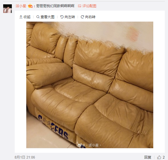 图片6.png “沙发二子”C位“瘫”出道 芝华仕意外上热搜(图6)